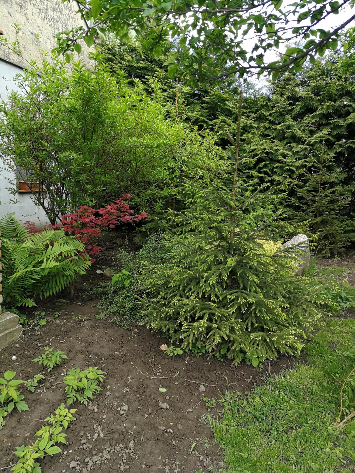 Na Domecku Apartamento Bořetice Exterior foto